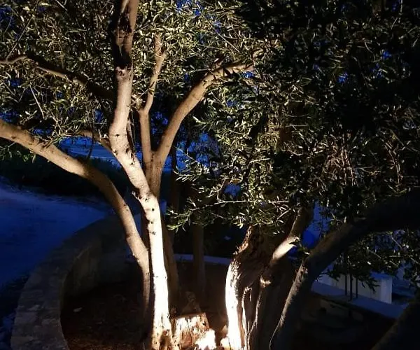 Casa de hóspedes Apartment Zecevo Zečevo